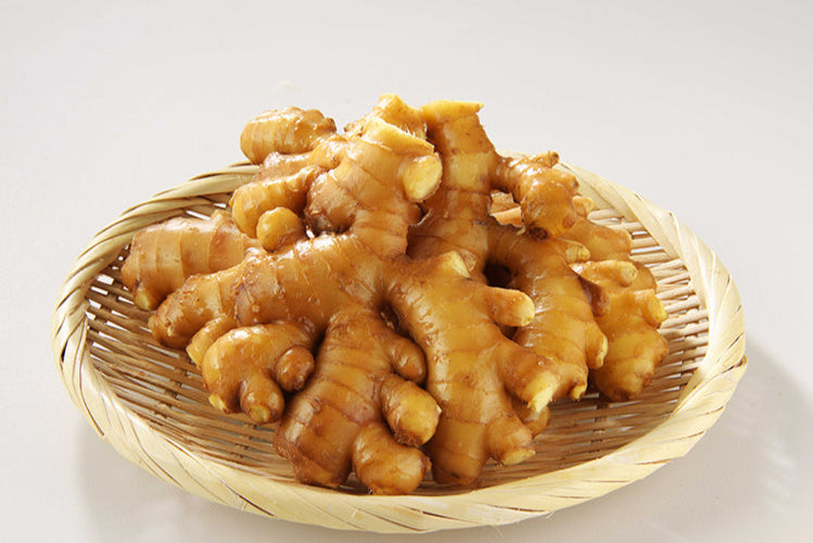 高知産三州生姜 4Kg×4箱 – 坂田信夫商店 【業販】