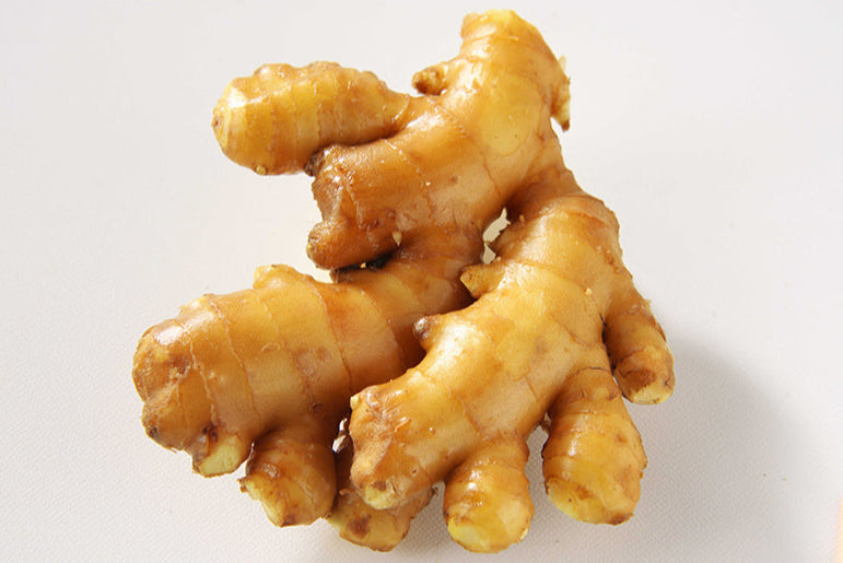 高知産三州生姜 4Kg×4箱 – 坂田信夫商店 【業販】